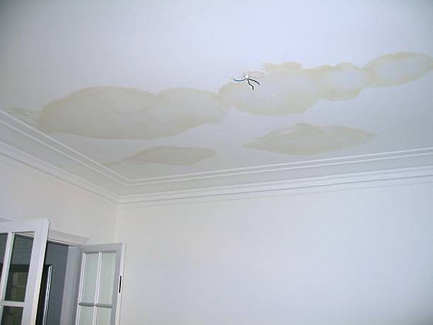 Ceiling Water Stain